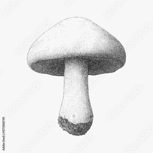 Mushroom with pointed top. Rough monochrome sketch with stipple shading and halftone dots, grainy threshold and photocopy texture.