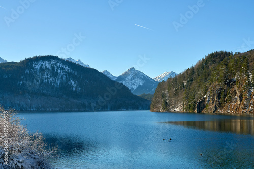 Serene Winter Landscape with Crystal-Clear Lake Reflecting Snow-Covered Mountains and Evergreen Forests, Featuring a Small Black Bird Perched on Snowy Embankment, Evoking Tranquility and Natural