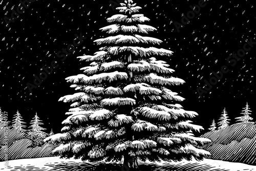 pine tree standing in snowy landscape, with sharp needles and layered branches, drawn as a minimal black and white line art illustration ideal for seasonal and outdoor design concepts