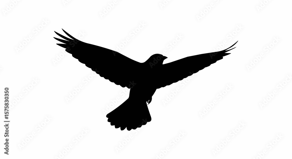 Obraz premium Silhouette of Bird in Flight – Soaring Winged Animal Vector on White Background