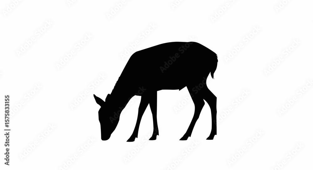 Fototapeta premium Silhouette of Deer Grazing – Peaceful Wildlife Vector on White Background