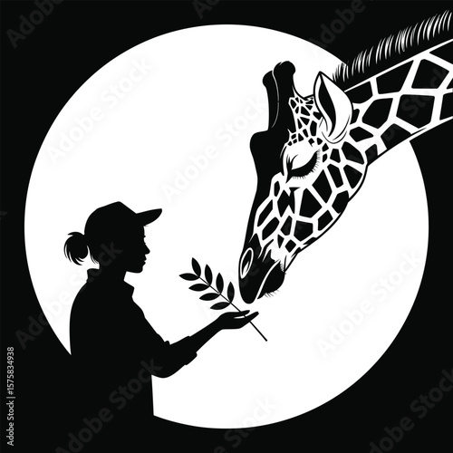 Zookeeper feeding giraffe branch animal