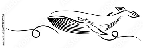 line art illustratiom background blue whale