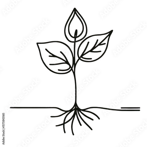 Minimalist plant design sprouting with roots, perfect for agriculture or ecology brands seeking a natural and eco-friendly vibe.