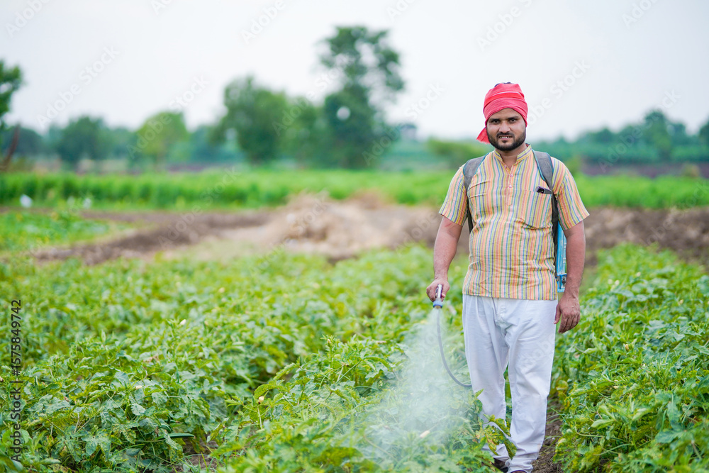 Fototapeta premium indian farmer spraying pesticide at green field