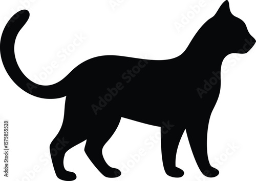 Elegant cat silhouette standing