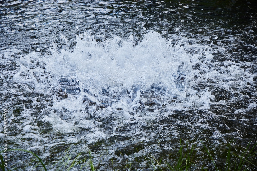 Obraz premium Bubbling water in a lake in a park