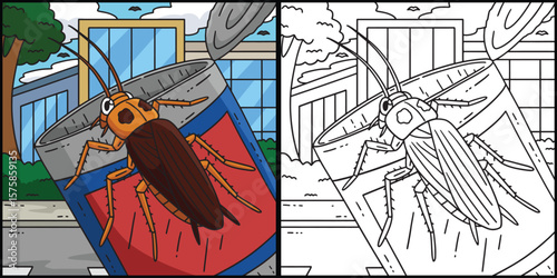 Insect Cockroach Animal Colored Illustration 