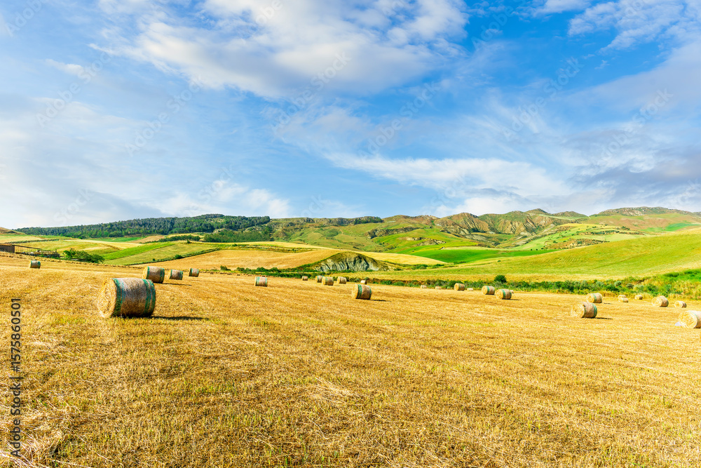 Fototapeta premium beautiful summer golden field among green hills and mountains with yellow hay stacks and scenic landscape on background. Agricultural landscape of rustic farmland.