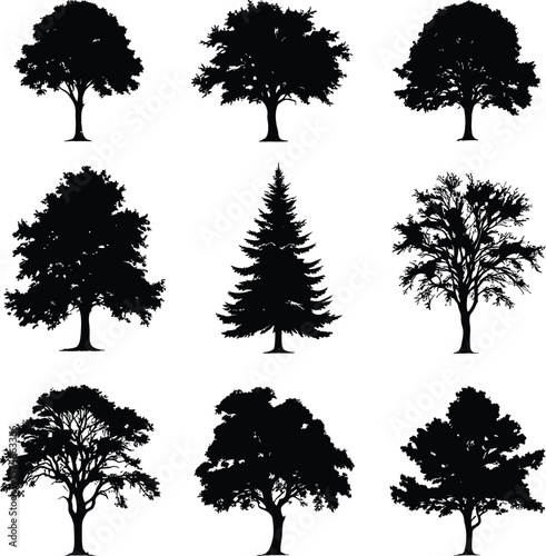 Black-and-White Vector Illustration of Tree Silhouette Collection – 9-Item Botanical Grid