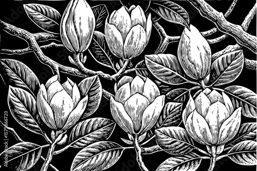 Magnolia flower buds and wide glossy leaves arranged on a curving branch, rendered in romantic black and white line art illustration for stationery, wedding, and fine botanical designs