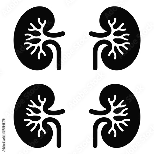 Four Black Kidney Icons With White Internal Structures