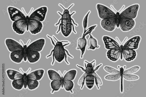 Collection of vintage style insect illustrations including butterflies beetles a bee and dragonfly in monochrome