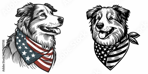 A Australian Shepherd Dog wear american flag print bandana. Minimal Vintage Grunge Independence Day 4th of July Patriotic Usa America Retro Clipart. Aussie canine sport headscarf displaying.
