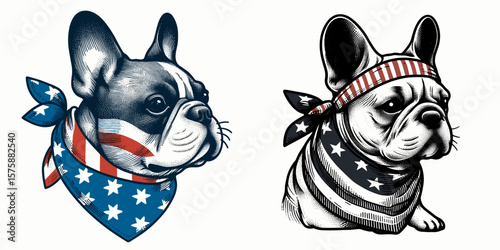 A French Bulldog wear american flag print bandana. Minimal Vintage Grunge Independence Day 4th of July Patriotic Usa America Retro Clipart. Canine in stars and stripes neckwear shows.