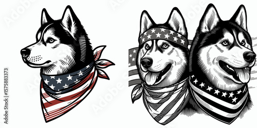 A Siberian Husky Dog wear american flag print bandana. Minimal Vintage Grunge Independence Day 4th of July Patriotic Usa America Retro Clipart. canine with patriot cloth neckwear banner.