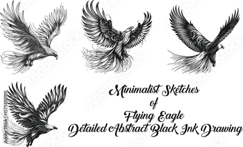 Minimalist Sketches of Flying Eagle Detailed Abstract Black Ink Drawing