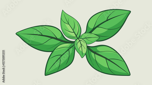 A green leafy plant with a stem. The stem is thin and the leaves are large