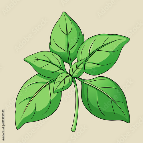 A green leafy plant with a stem. The stem is thin and the leaves are large