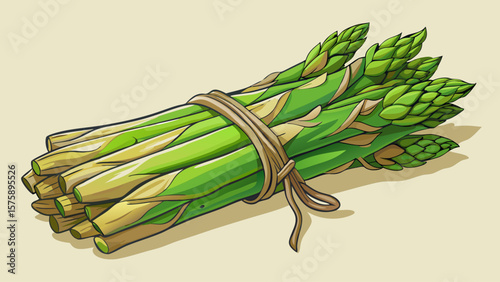 A bunch of green asparagus is tied together with a string. The asparagus is fresh and ready to be cooked
