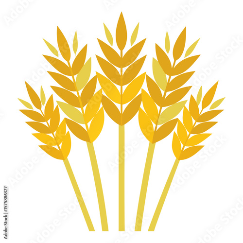 A bunch of yellow wheat stalks with a white background. The wheat stalks are tall and slender, with a few leaves at the top. Scene is peaceful and serene, as the wheat stalks stand tall