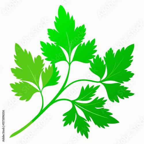 A green leafy plant with a stem. The leaf is green and has a pointed tip