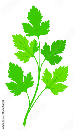 A green leafy plant with a stem. The leaf is green and has a pointed tip