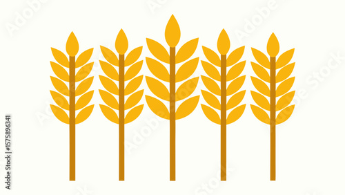 A bunch of yellow wheat stalks with a white background. The wheat stalks are tall and slender, with a few leaves at the top. Scene is peaceful and serene, as the wheat stalks stand tall