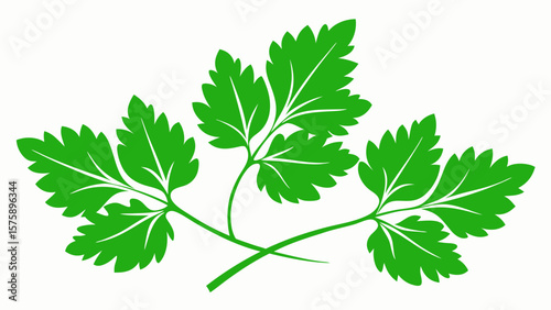 A green leafy plant with a stem. The leaf is green and has a pointed tip