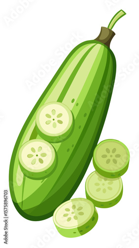 A green cucumber with a white seed in the middle. The cucumber is cut in half