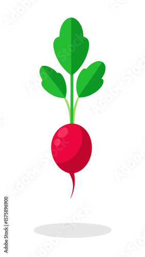A red radish with green leaves. The radish is the main focus of the image. The image has a bright and cheerful mood, as the radish is a healthy and vibrant vegetable