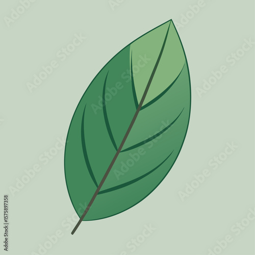 A leaf with a green stem. The leaf is the main focus of the image