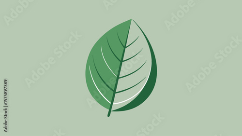 A leaf with a green stem. The leaf is the main focus of the image
