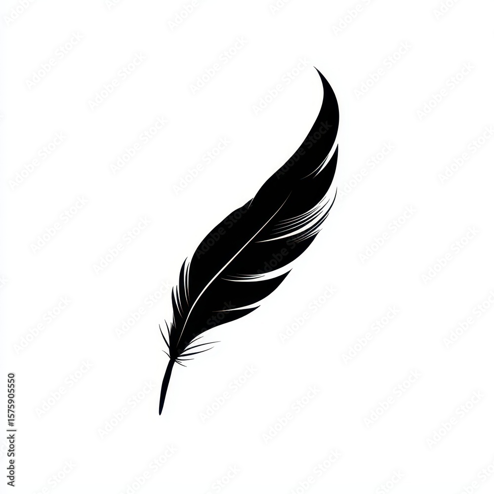 Fototapeta premium Solitary detailed black feather with delicate barbs on a plain, white background
