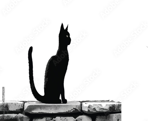 Title: Mythical and Martial Arts Silhouettes

