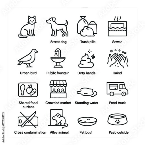 Urban zoonotic risks line art icons. stray cat, street dog, trash pile, sewer rat, open drain, urban bird, public fountain, animal droppings, dirty hands, shared food surface,