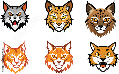 Bobcat Head Color Vector Illustration