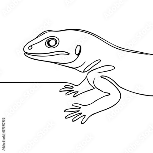 Line art illustration of a lizard in minimalist style  