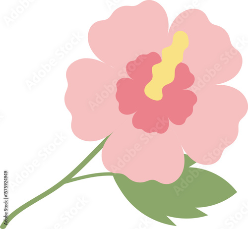 Hibiscus Syriacus Flower Illustration for Korean Theme Design