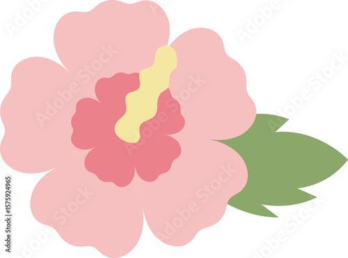 Mugunghwa – National Flower of Korea Illustration
