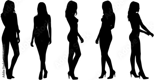 Sexy Woman Silhouette
