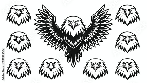Majestic eagle illustrations fierce predatory birds