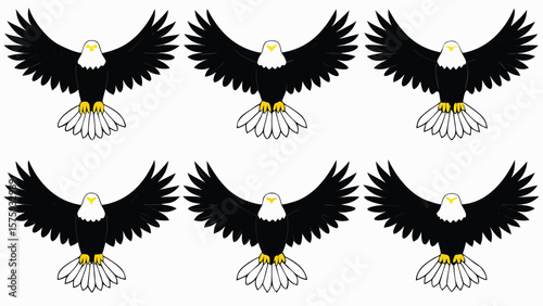 Six bald eagles with wings spread bird raptor