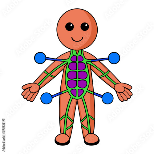 Cartoon human body diagram with internal organs and blue dots purple organs
