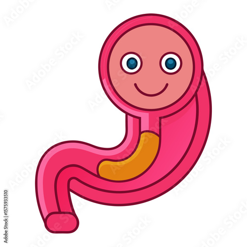 Cute smiling stomach with food inside human organ digestive system
