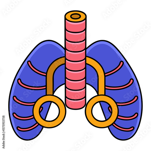 Stylized human lungs and trachea illustration respiratory system medical illustration
