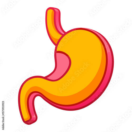 Stylized stomach with vibrant colors human organ digestive system