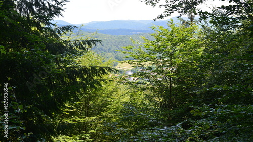 Pfälzer Wald_063
