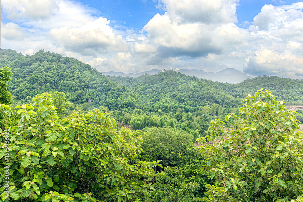 Fototapeta premium Landscape of green forest and mountains on a cloudy day