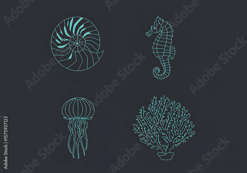 Ocean Life Nautiluses, Seahorses, Jellyfish, and Coral Line Art Illustrations